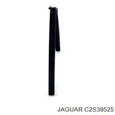 Клиновий ремінь Jaguar C2S39525 ціна, від 6.87 USD