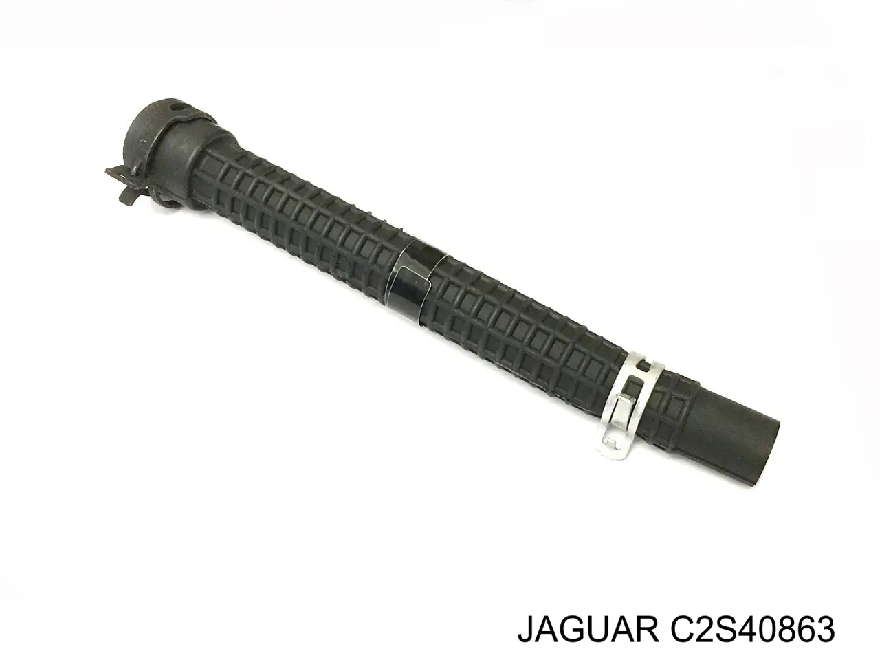  C2S40863 Jaguar