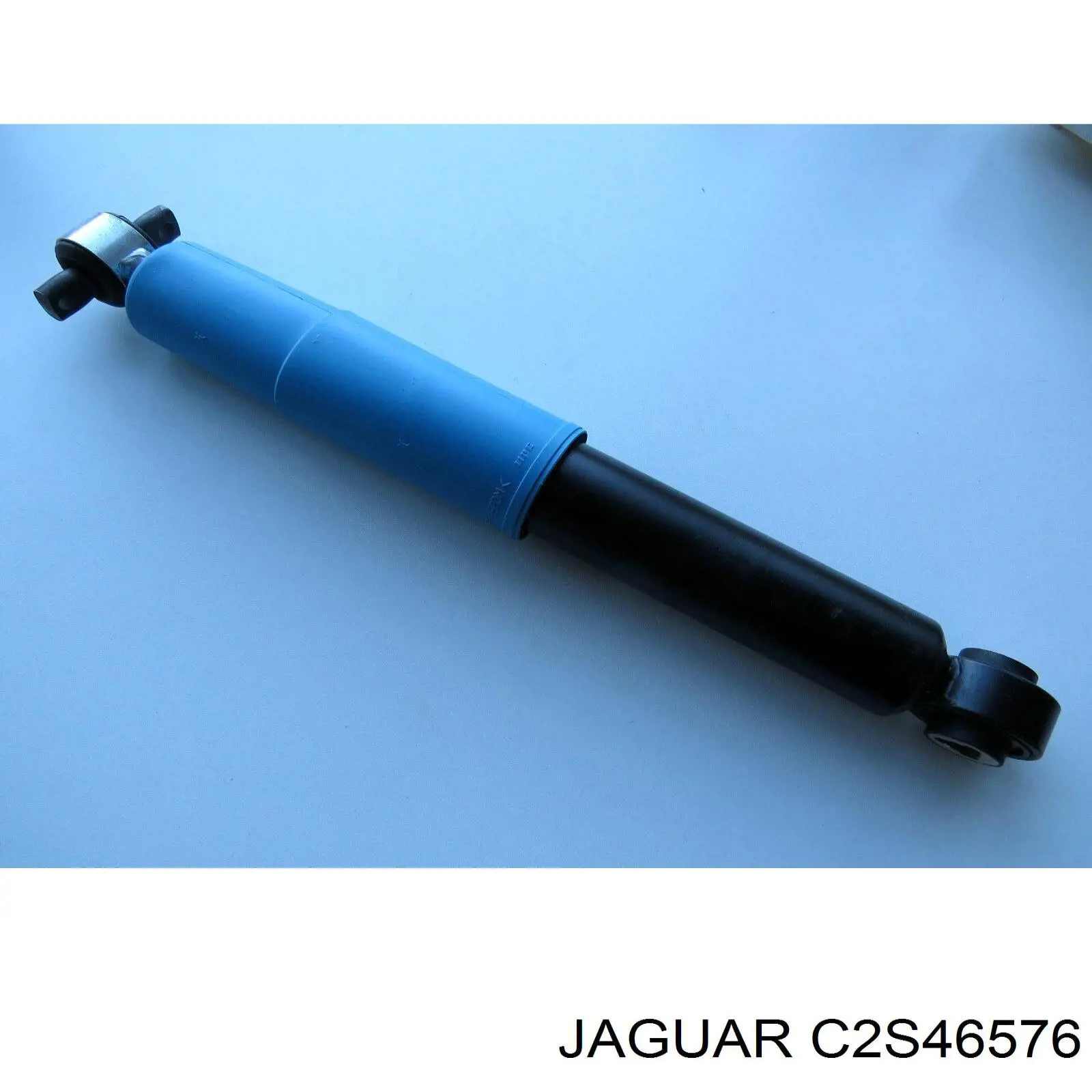  C2S46576 Jaguar