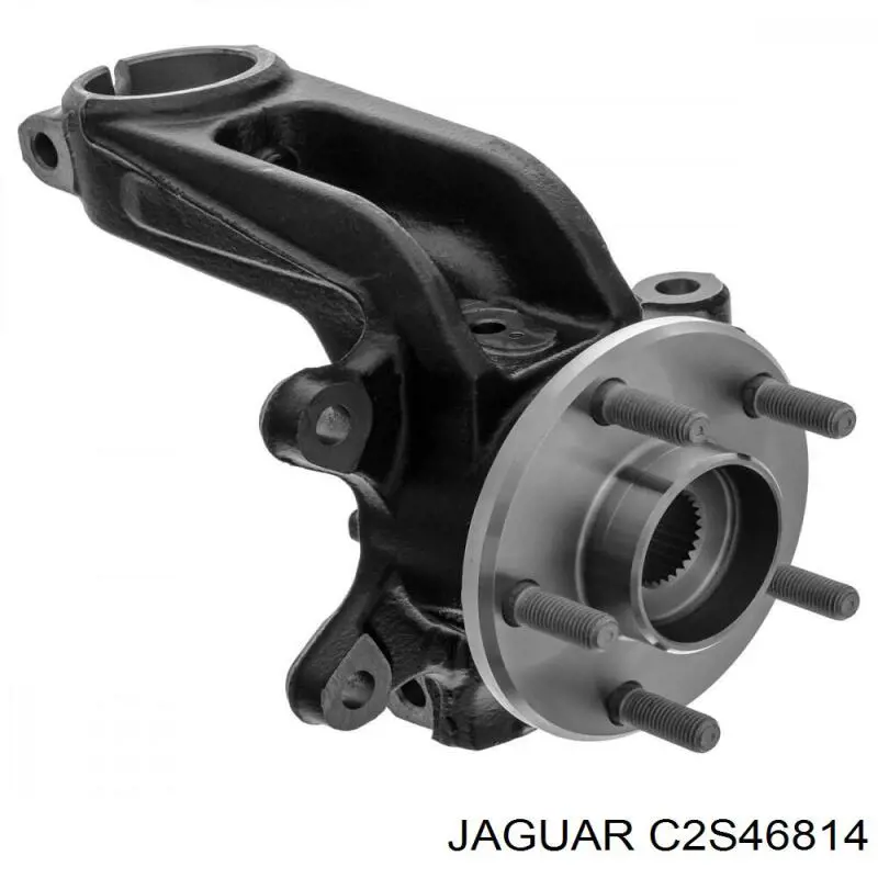 C2S46814 Jaguar 