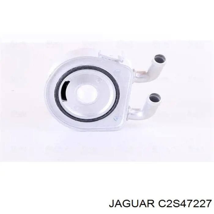 C2S47227 Jaguar 