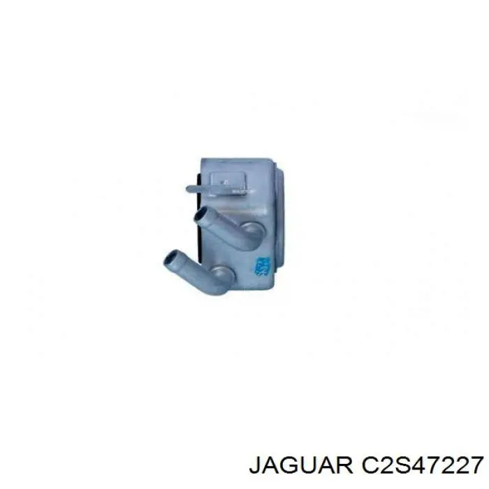 Купити C2S47227 Jaguar 