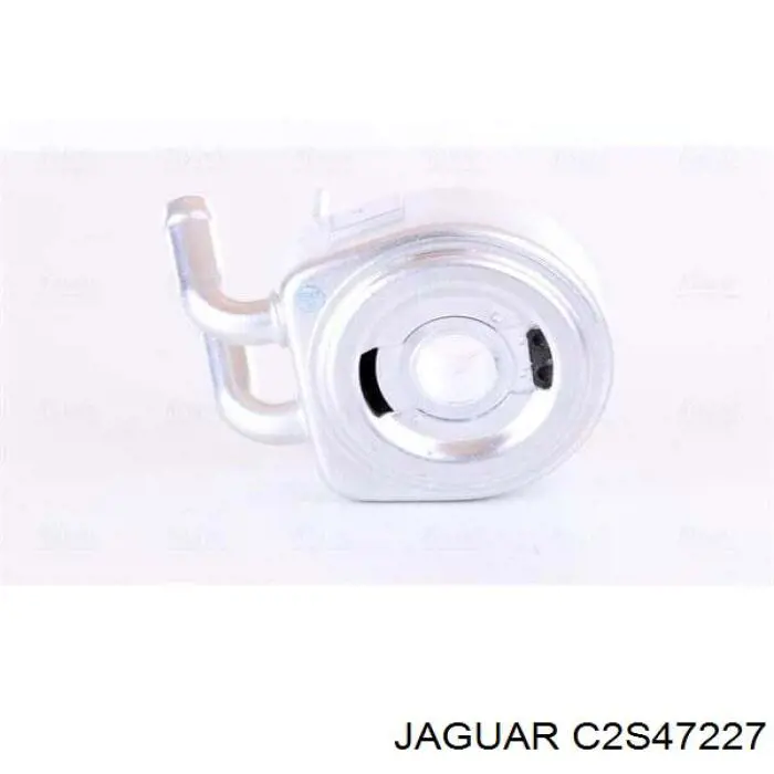  C2S47227 Jaguar
