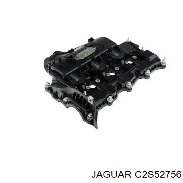  T4N12970 Jaguar