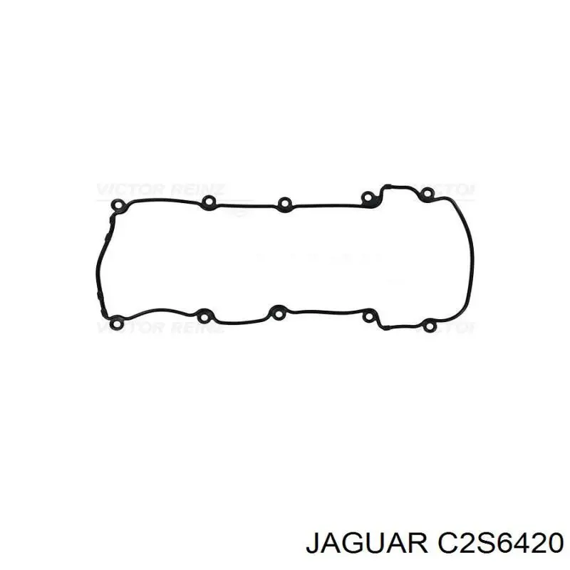  C2S6420 Jaguar