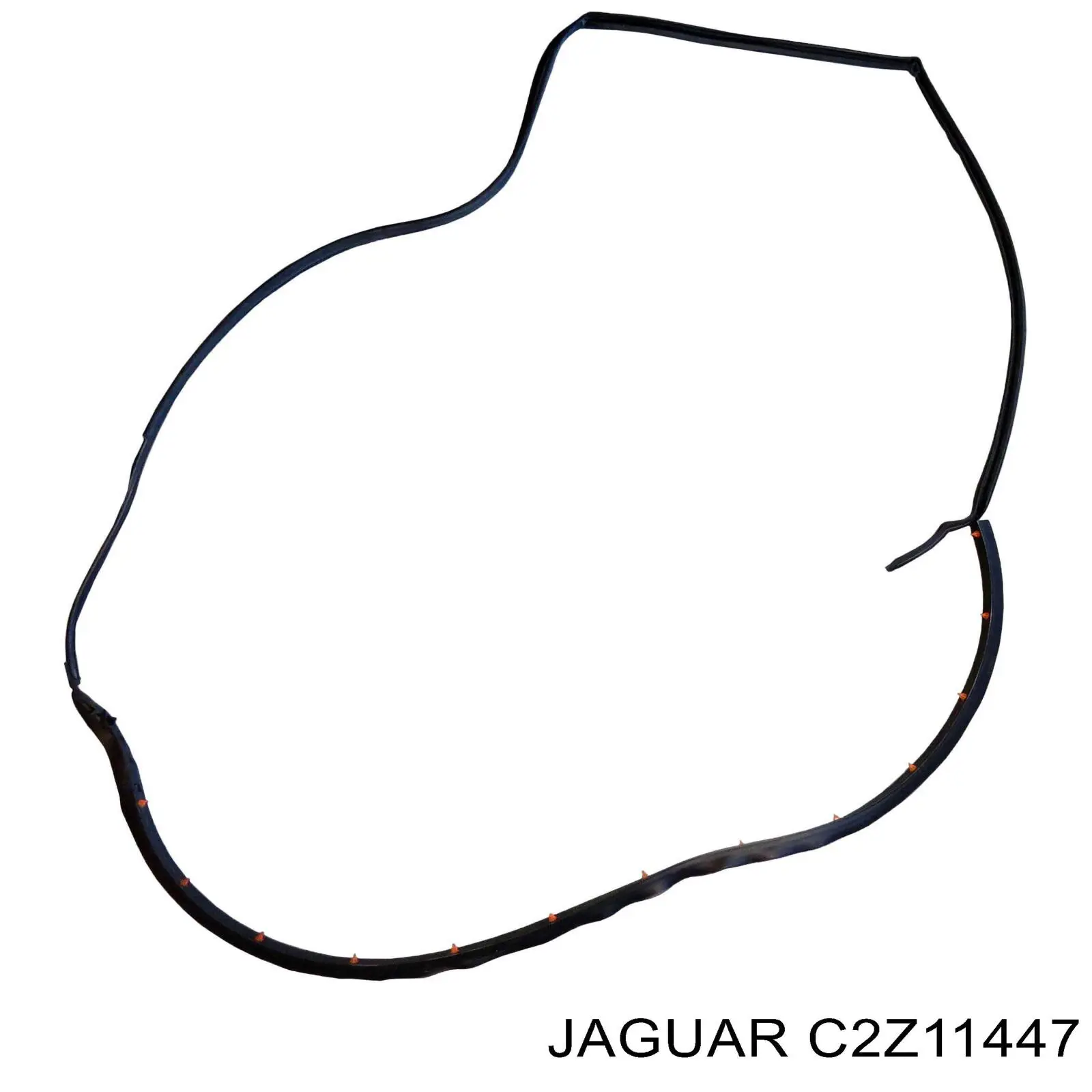  C2Z11447 Jaguar