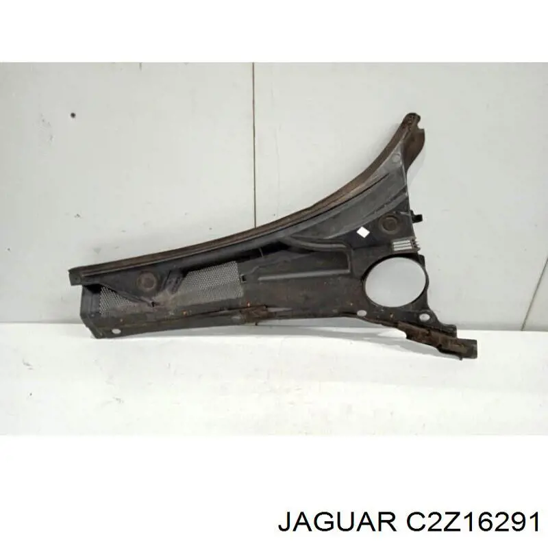 Jaguar C2Z16291 ціна, від 69.98 USD