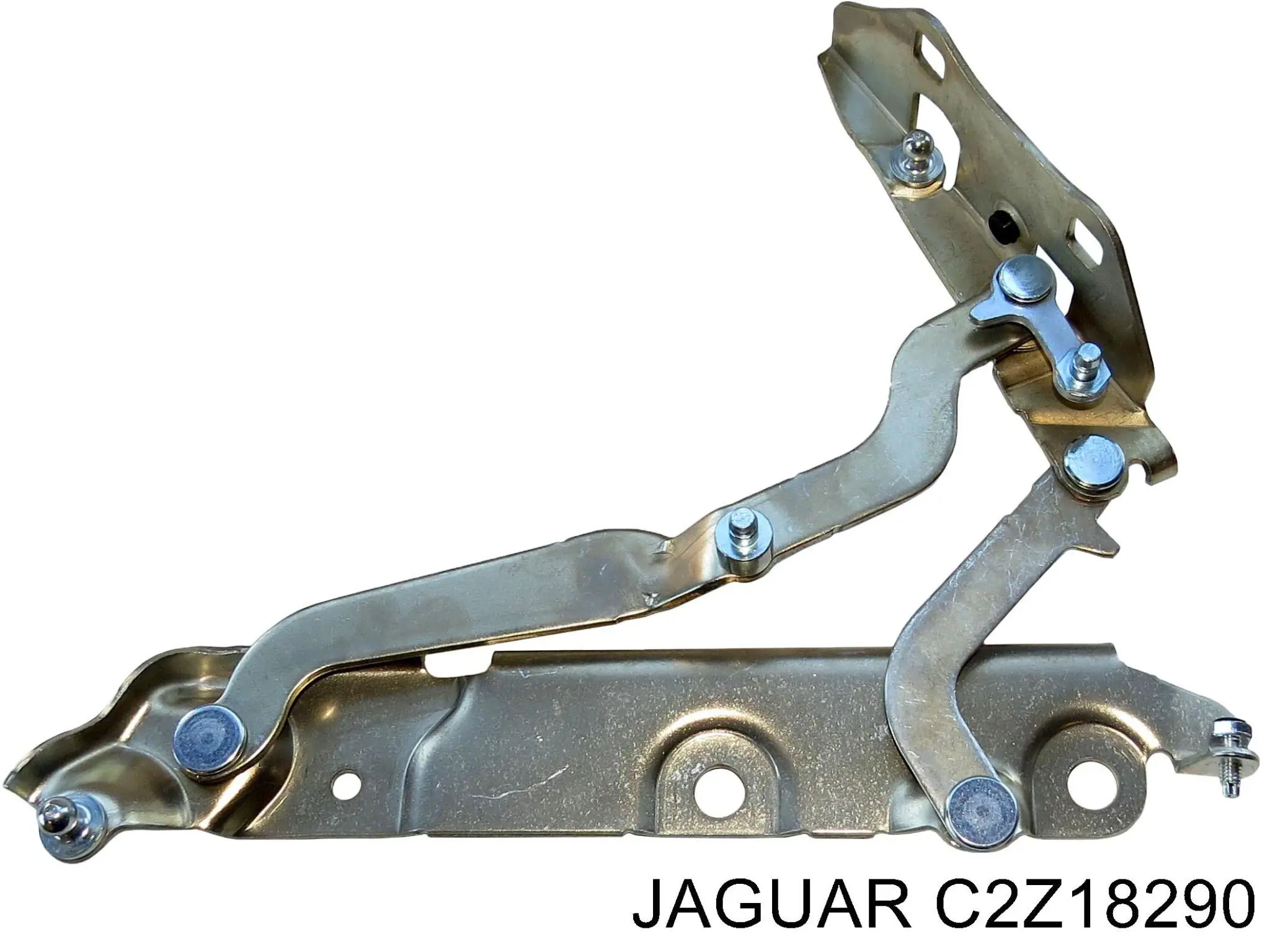 C2Z18290 Jaguar 