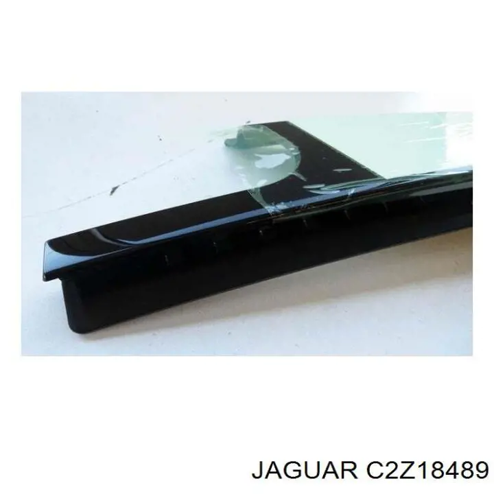C2Z18489 Jaguar 