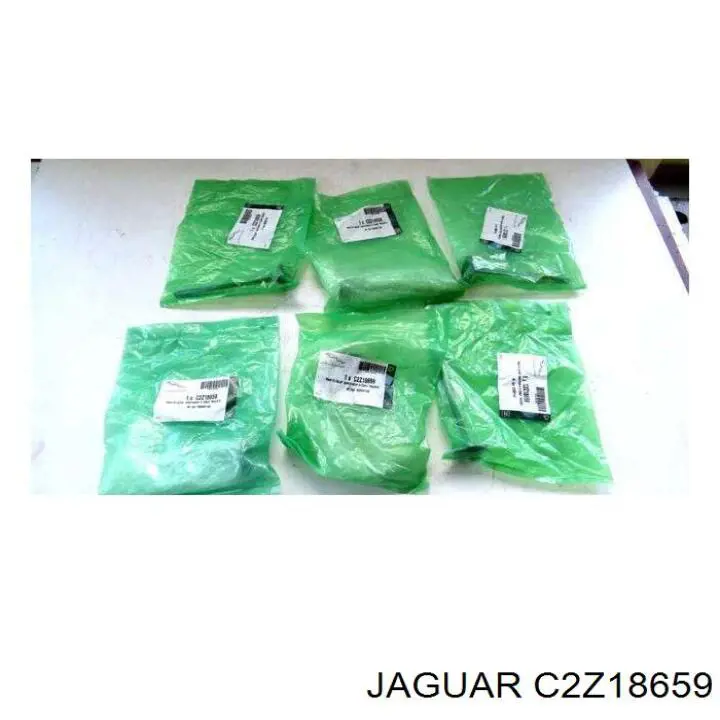 Купити C2Z18659 Jaguar Клапан впускний