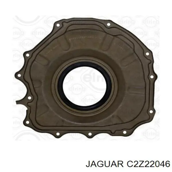 C2Z22046 Jaguar 