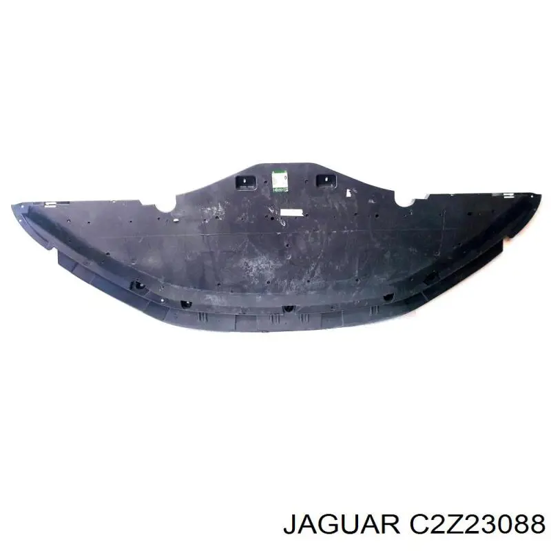 C2Z19536 Jaguar 