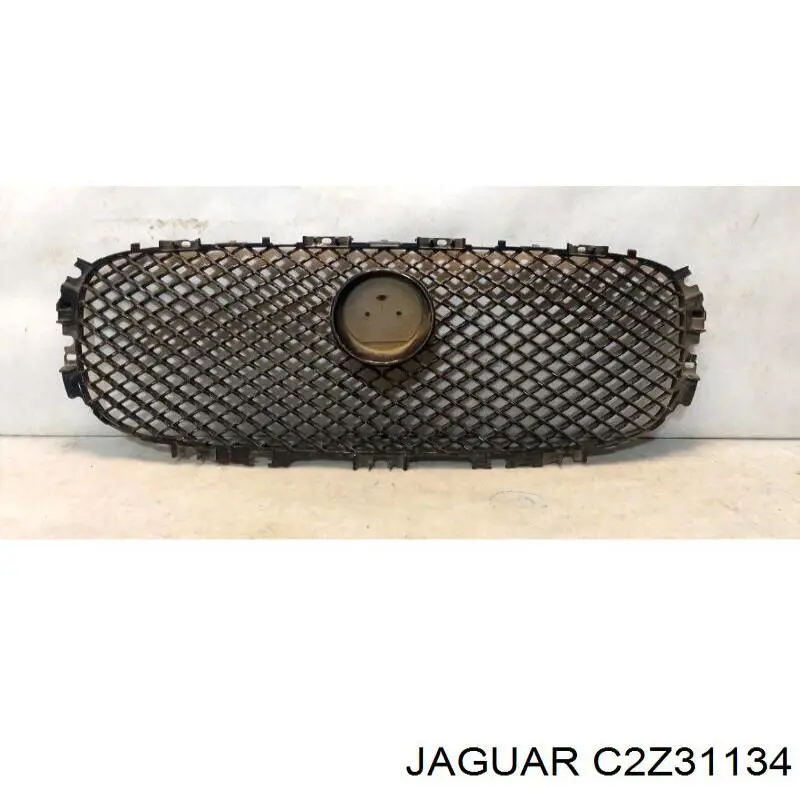 C2Z31134 Jaguar 
