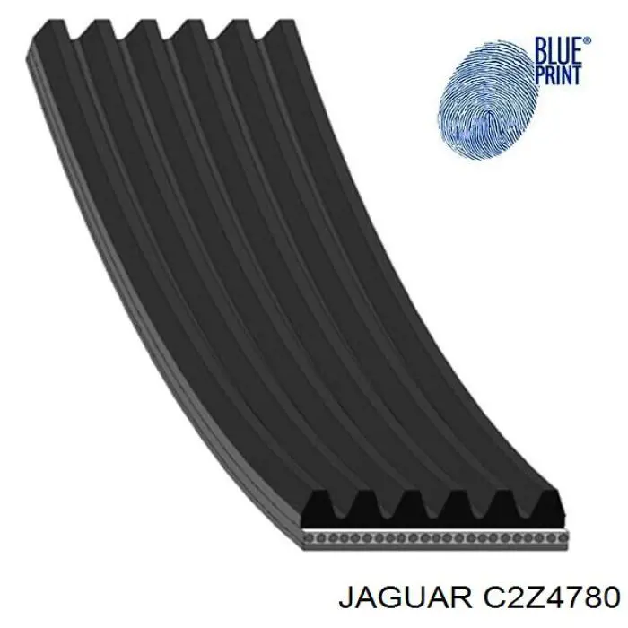 C2Z4780 Jaguar Поліклиновий ремінь