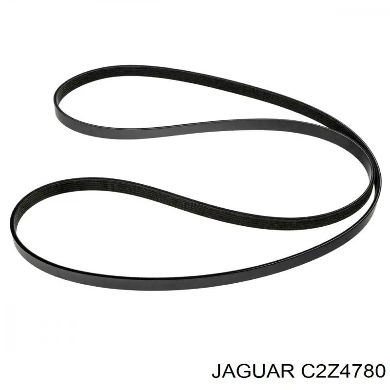 Клиновий ремінь Jaguar C2Z4780 ціна, від 15.66 USD