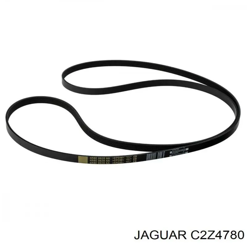 Ремінь генератора C2Z4780 Jaguar