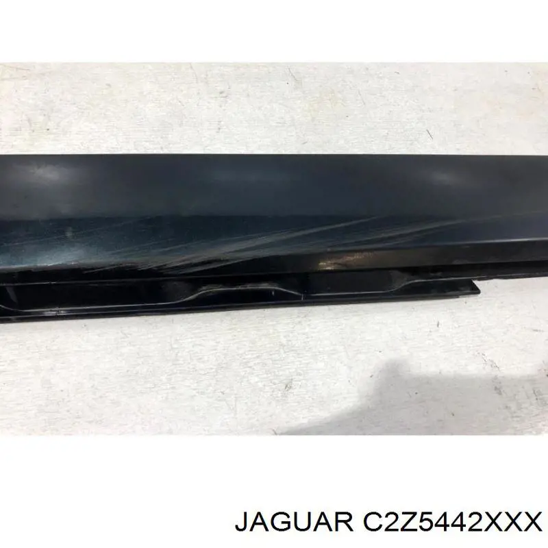  Jaguar C2Z5442XXX ціна, від 63.33 USD
