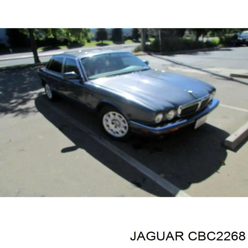  CBC2268 Jaguar