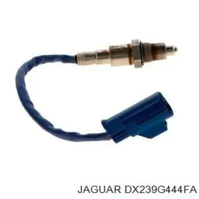  DX239G444FA Jaguar