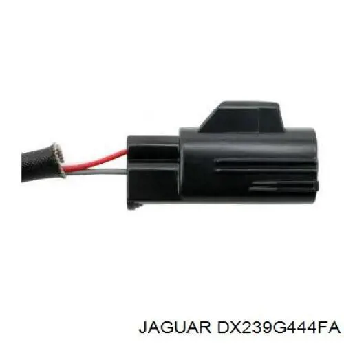  T2R54607 Jaguar
