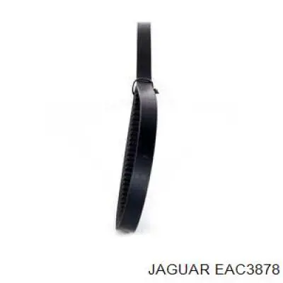 EAC3878 Jaguar Поліклиновий ремінь