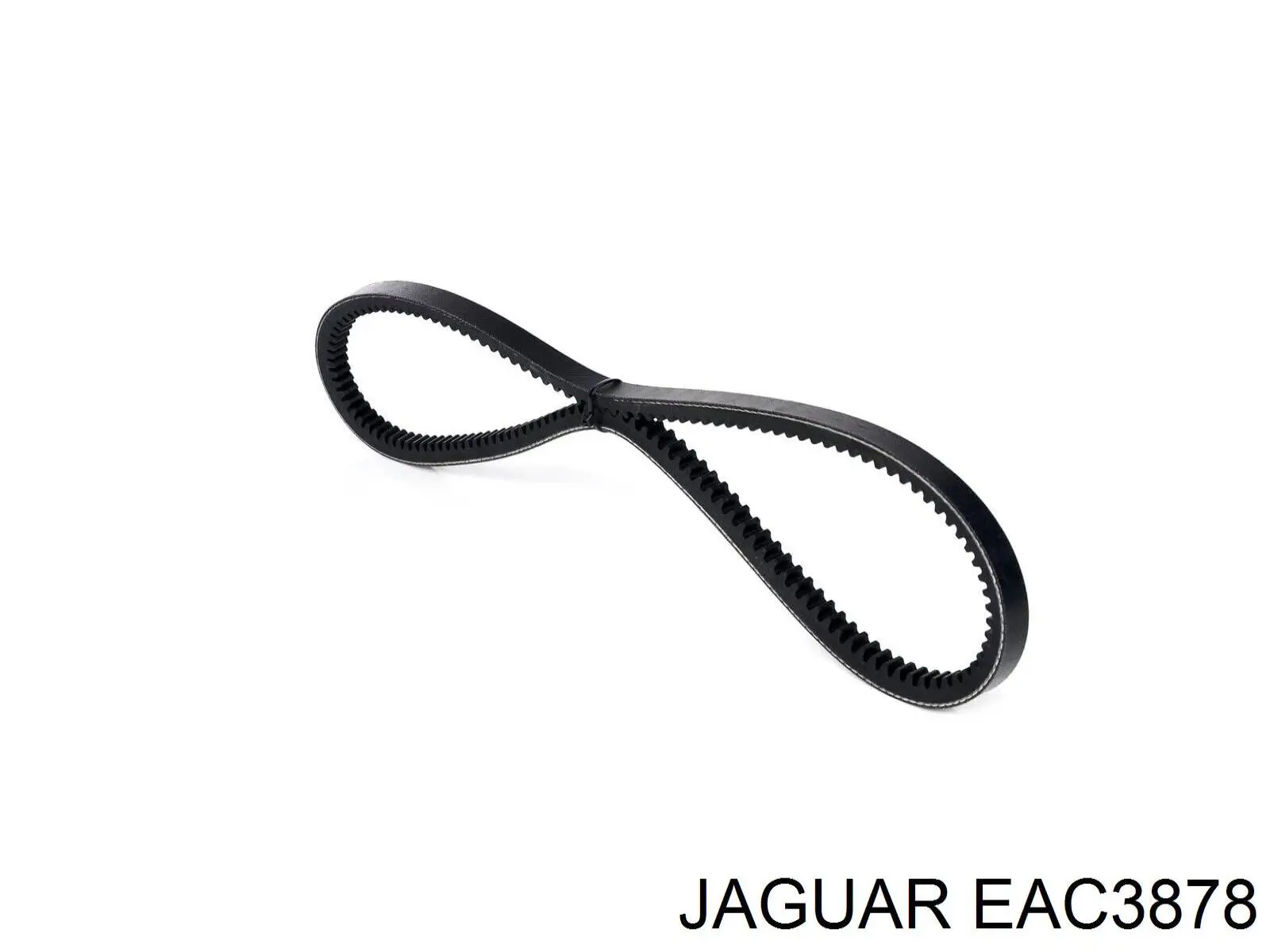 Клиновий ремінь Jaguar EAC3878 ціна, від 5.28 USD