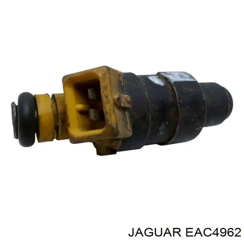  EAC4962 Jaguar