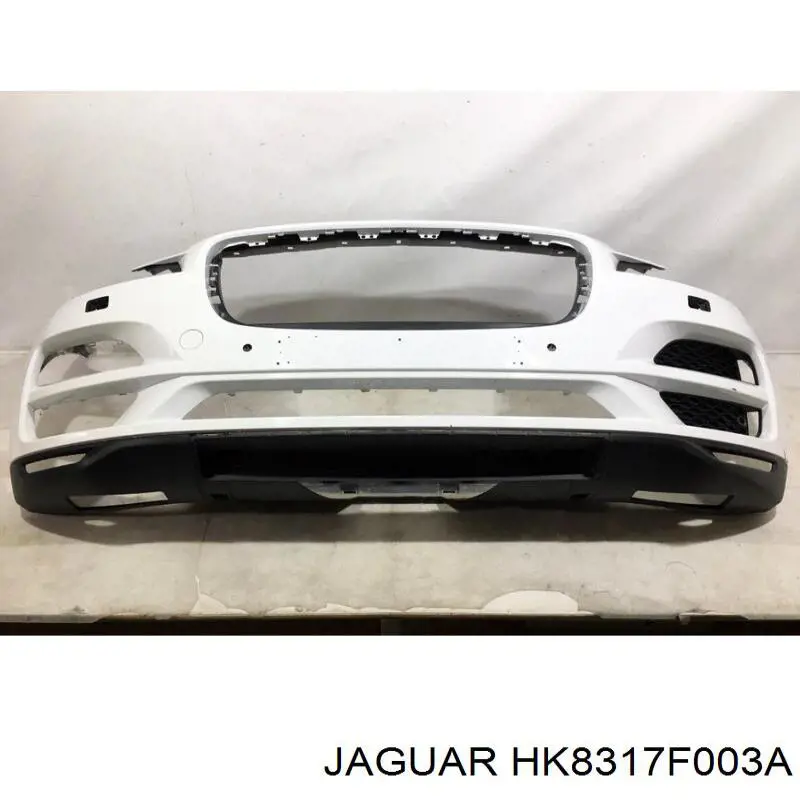 HK8317F003A Jaguar 