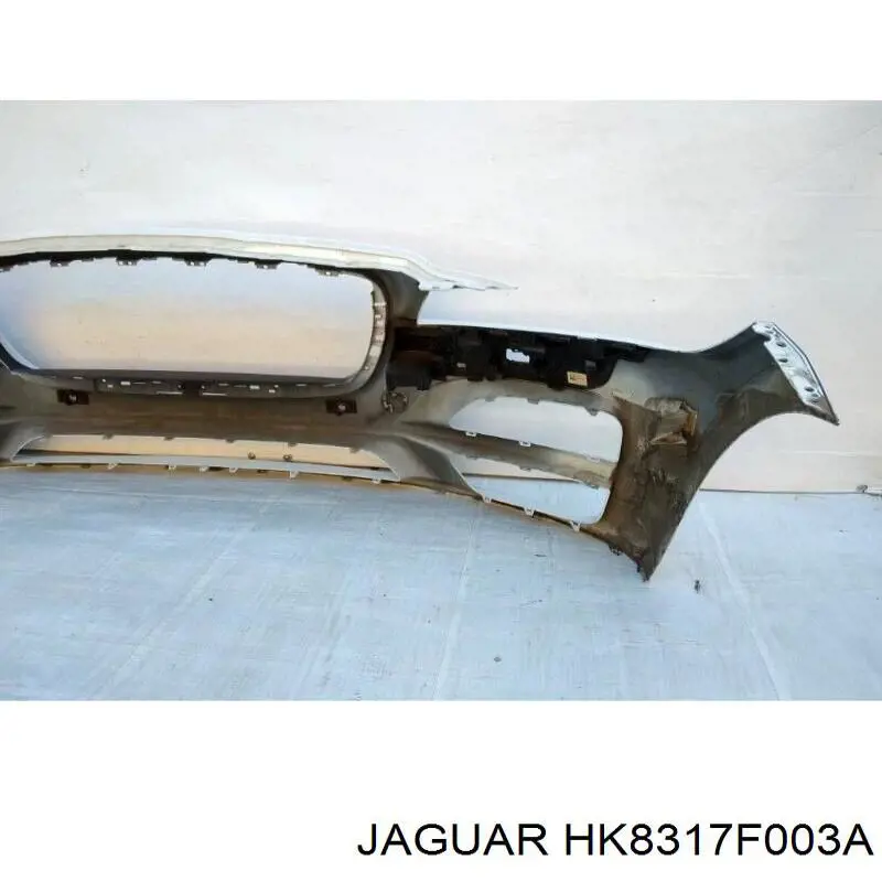 Купити HK8317F003A Jaguar 