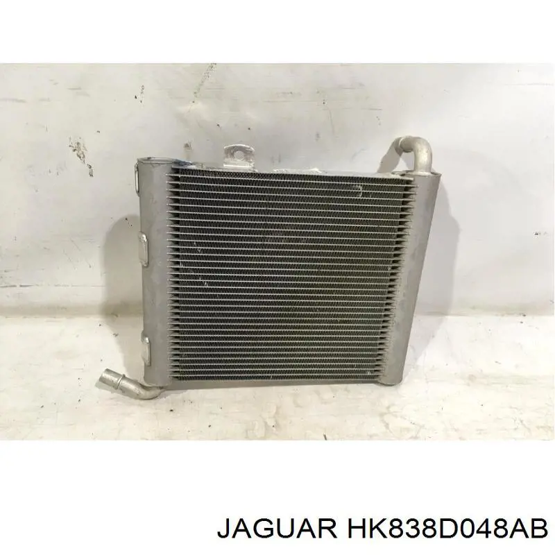  HK838D048AB Jaguar