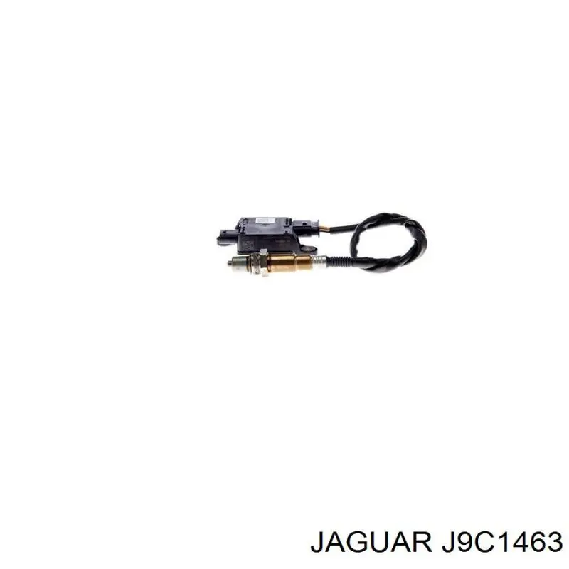  T2H50986 Jaguar