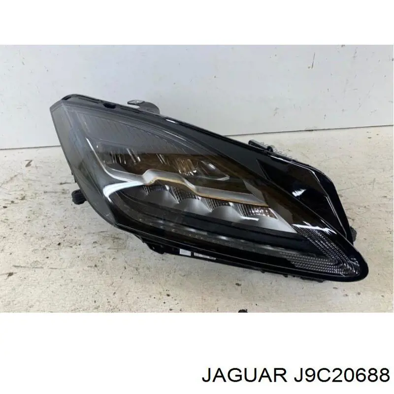  J9C20688 Jaguar