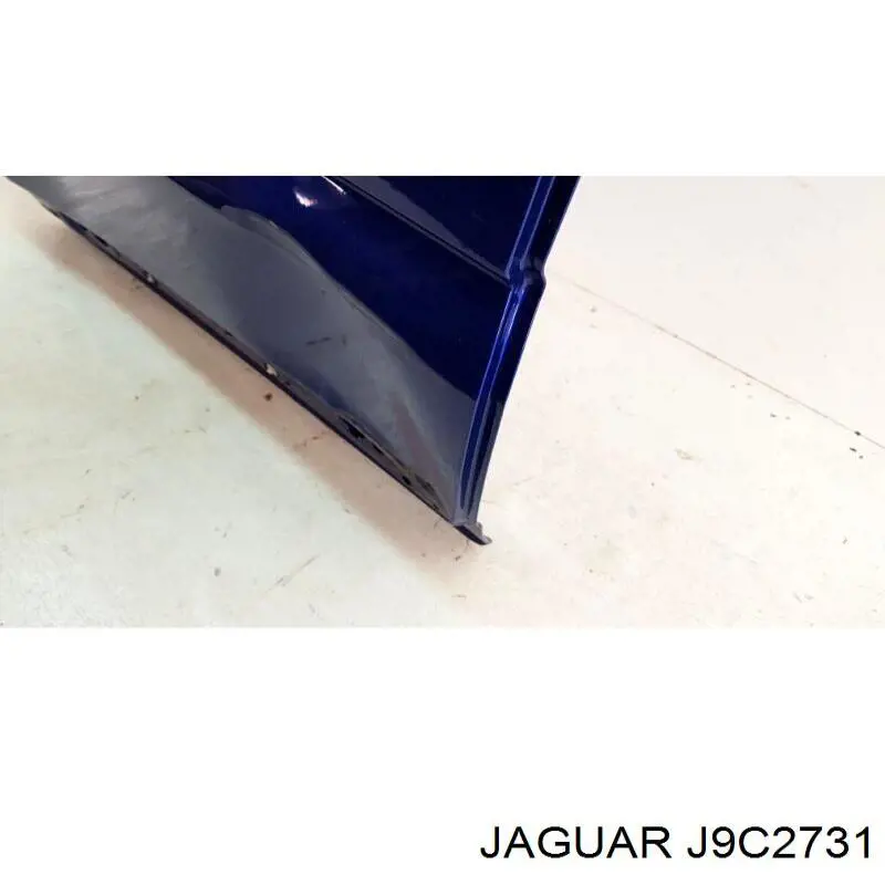 J9C2731 Jaguar Пасажирські передні двері