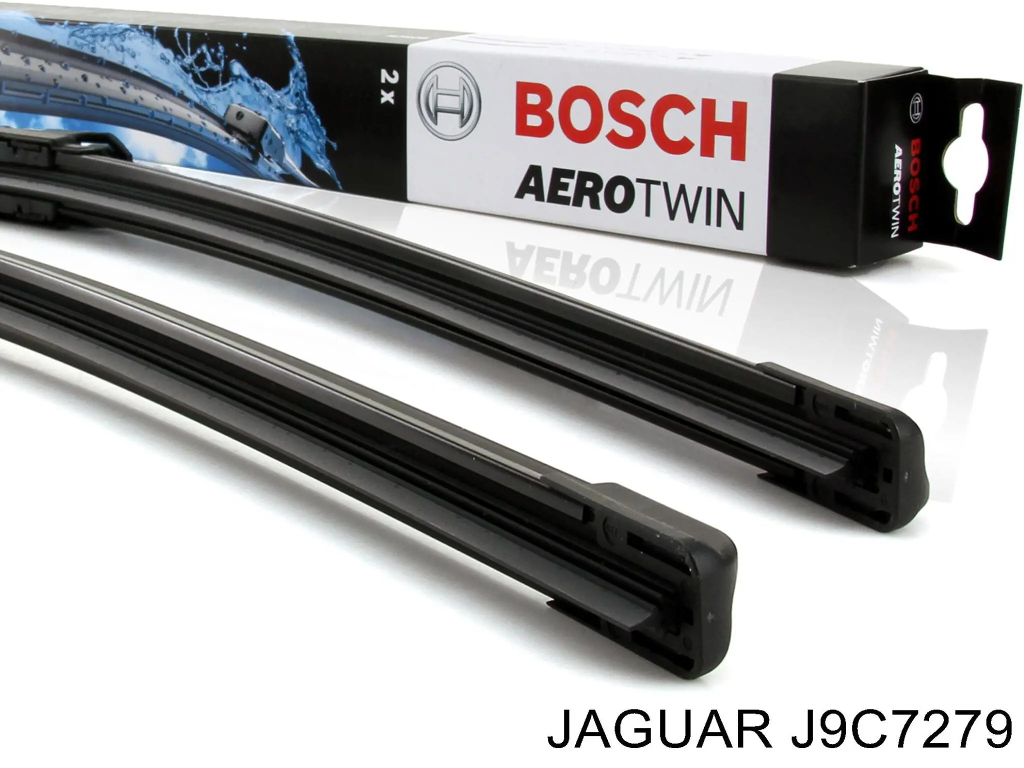 J9C7279 Jaguar 
