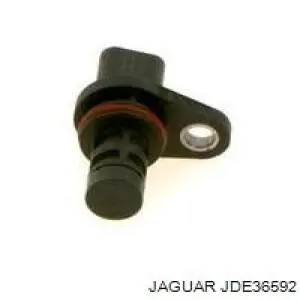 JDE40539 Jaguar 