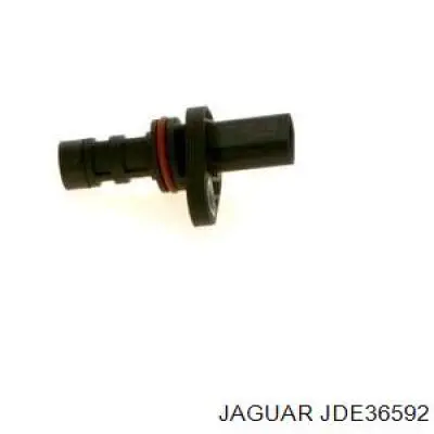  JDE40539 Jaguar