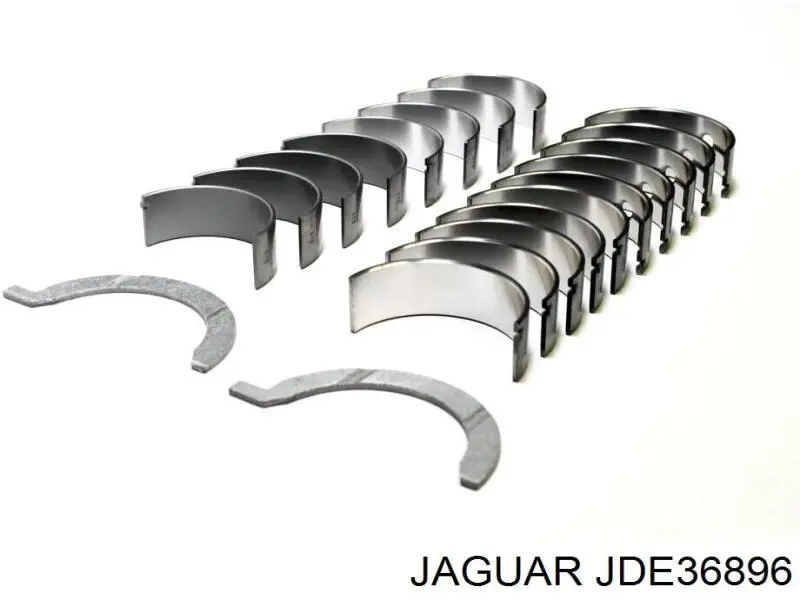 JDE36896 Jaguar 