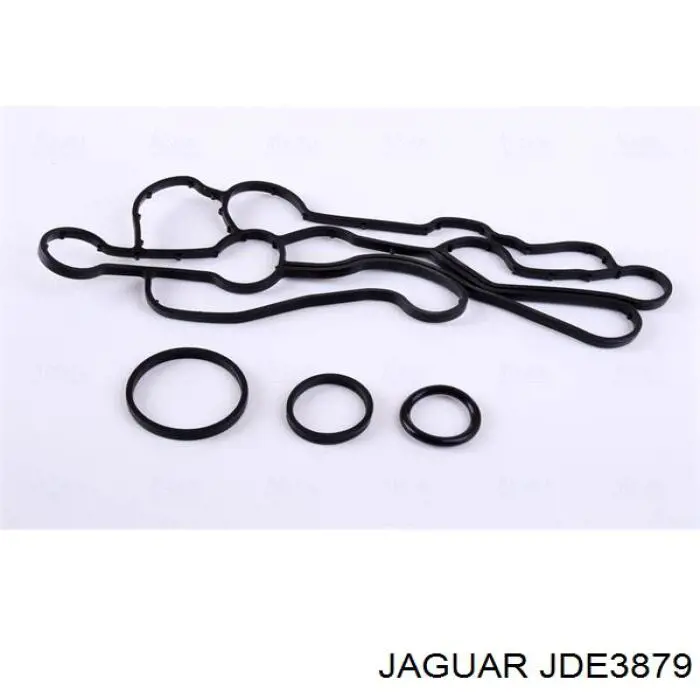 JDE3879 Jaguar радіатор масляний (холодильник, під фільтром)