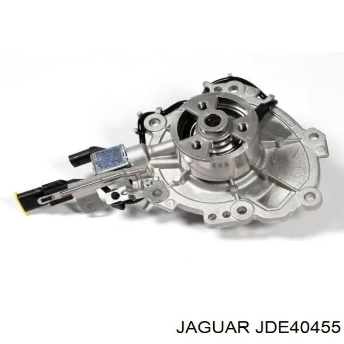  JDE40455 Jaguar