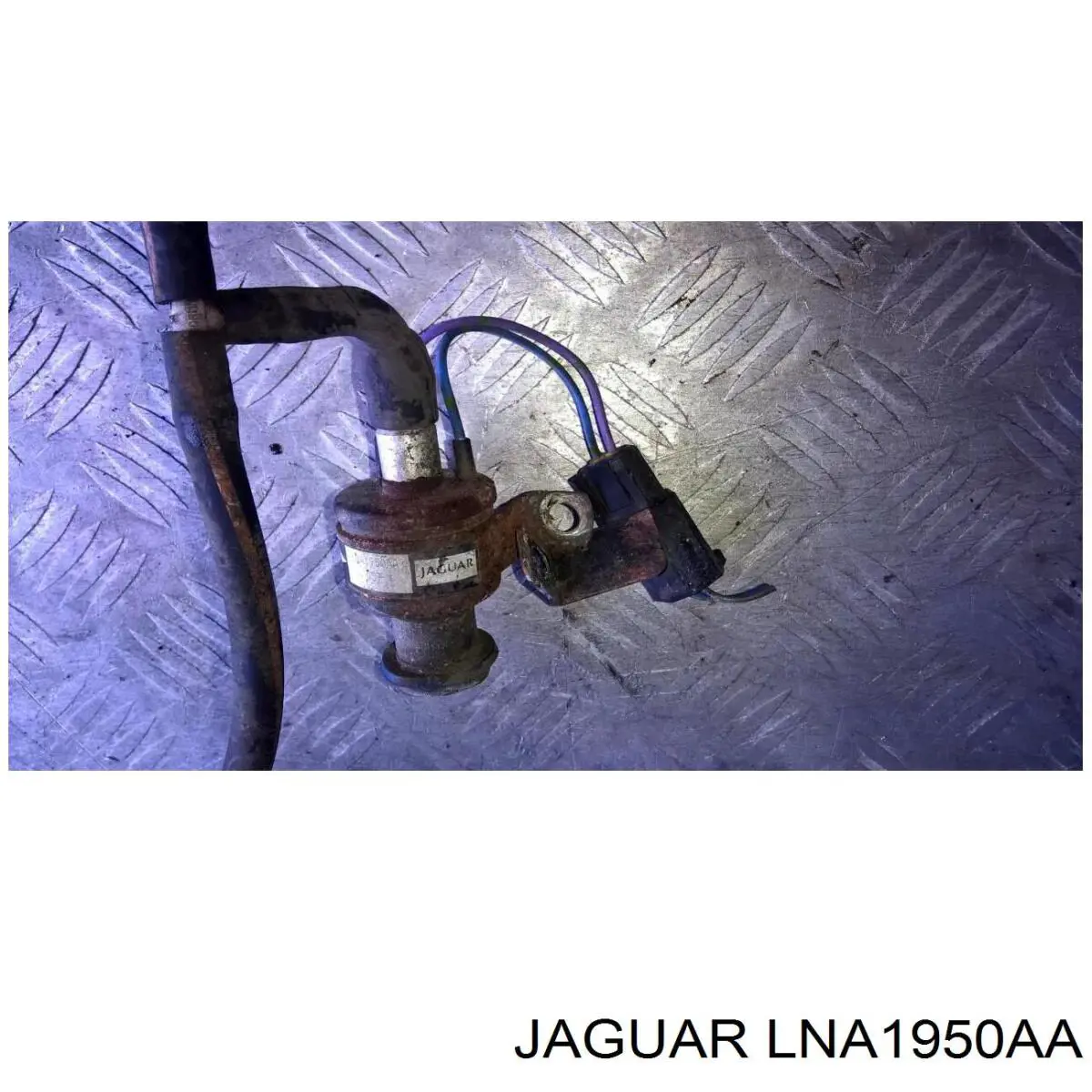 LNA1950AA Jaguar 