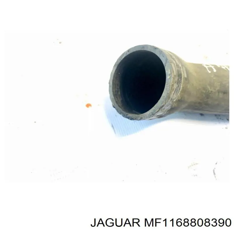 Купити MF1168808390 Jaguar 