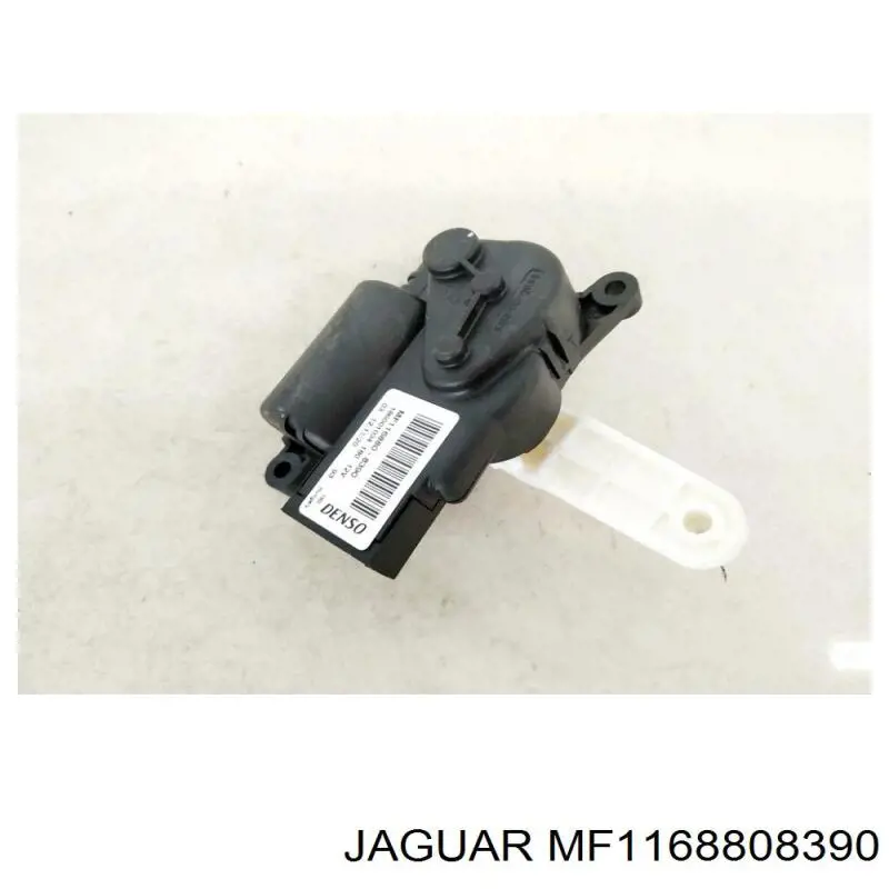  MF1168808390 Jaguar