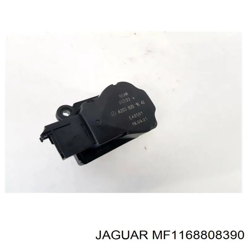 MF1168808390 Jaguar 