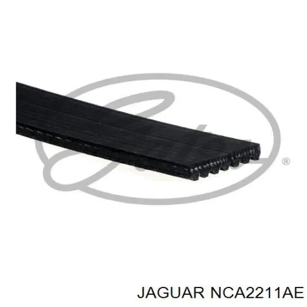 NCA2211AE Jaguar ремінь приводний, агрегатів