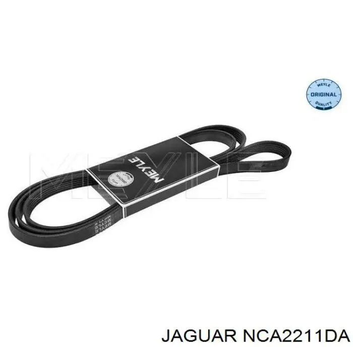 NCA2211DA Jaguar Поліклиновий ремінь
