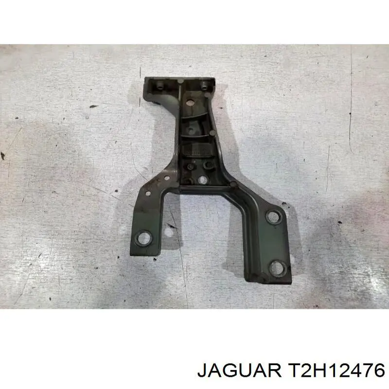  T2H12476 Jaguar