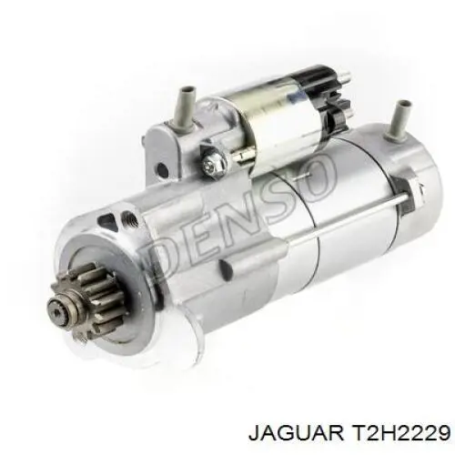 T2H2229 Jaguar 