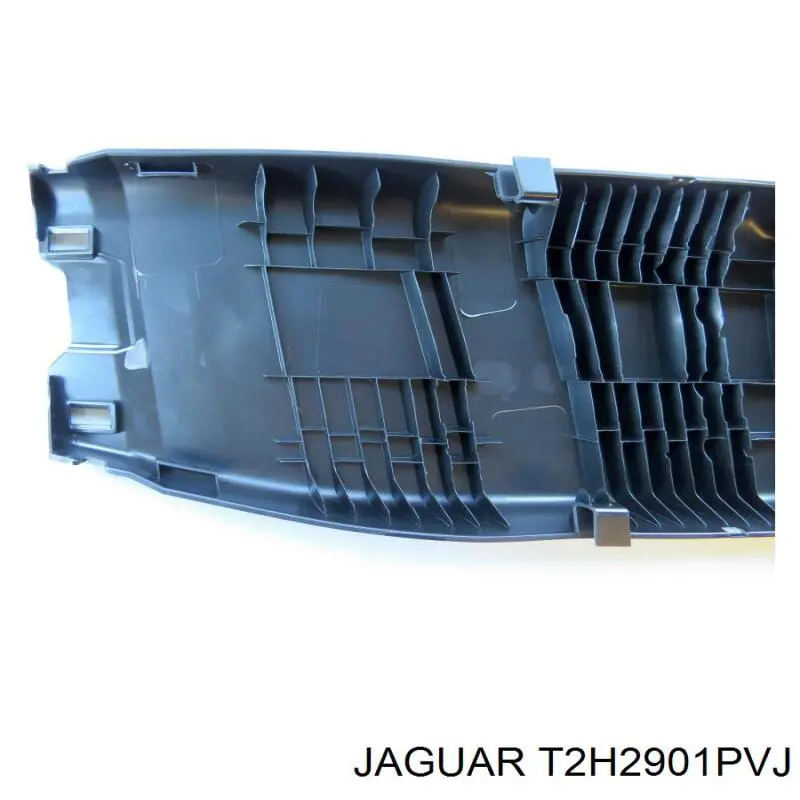 Купити T2H2901PVJ Jaguar 