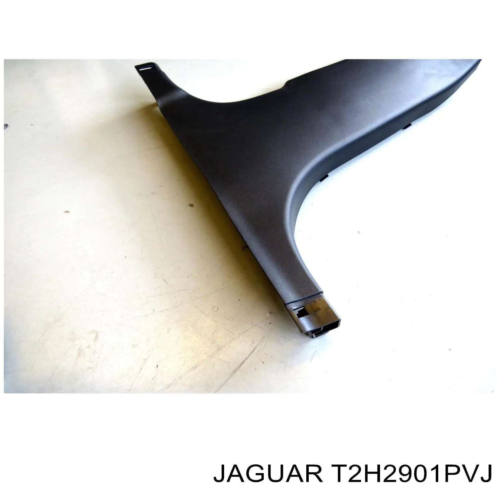  T2H2901PVJ Jaguar