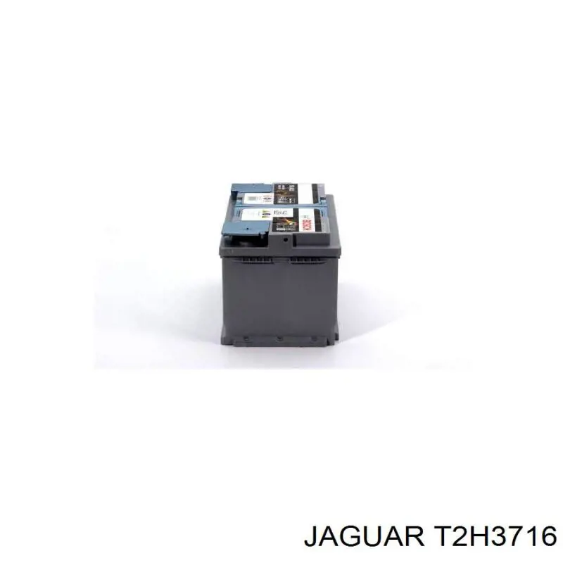  T2H3716 Jaguar